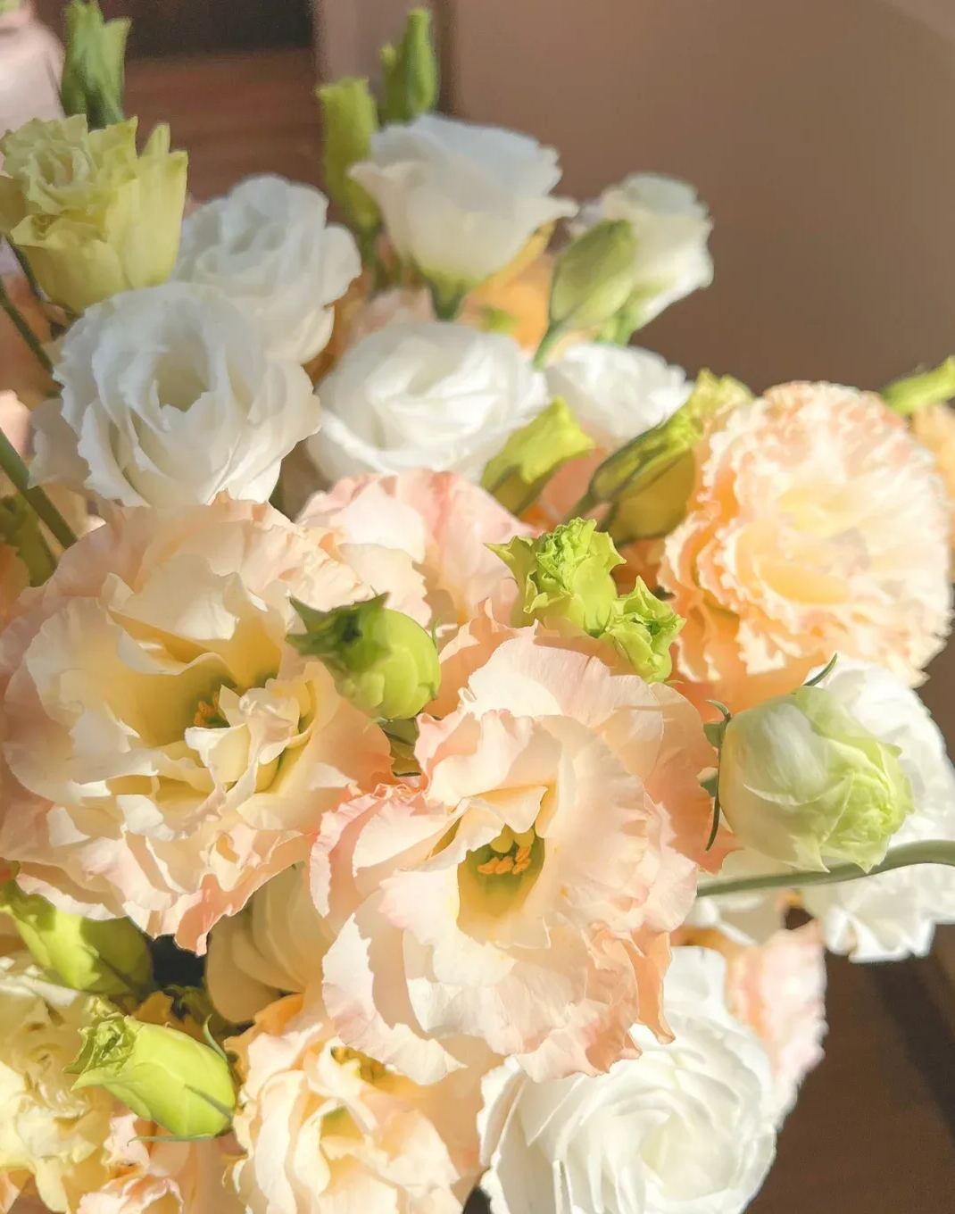💐Lisianthus – Timeless Beauty, Everlasting Love💫