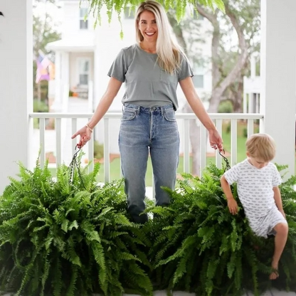 🎁Hot Sale 49% OFF🔥Extra-Large Pre-Lit Artificial Boston Fern