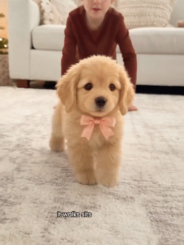 🎄 Christmas Sale 49% OFF 🐶 Biscuit – My Realistic Robot Puppy