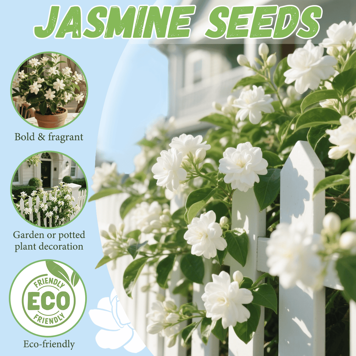 🏆 OVER 75,000 UNITS SOLD!🌸Climbing Jasmine Flower Seeds - Nighttime Perfumer