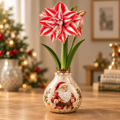 🔥 No Soil! No Water! Just Blooms! 🎄🌺 Watch These Holiday Waxed Amaryllis Seeds Come to Life!
