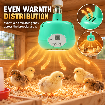🐥Limited Time 50% OFF! 🌡️ Intelligent Temperature Control Brooder Heater – Even Warm Air, Easy Install, Safe Housing ✨