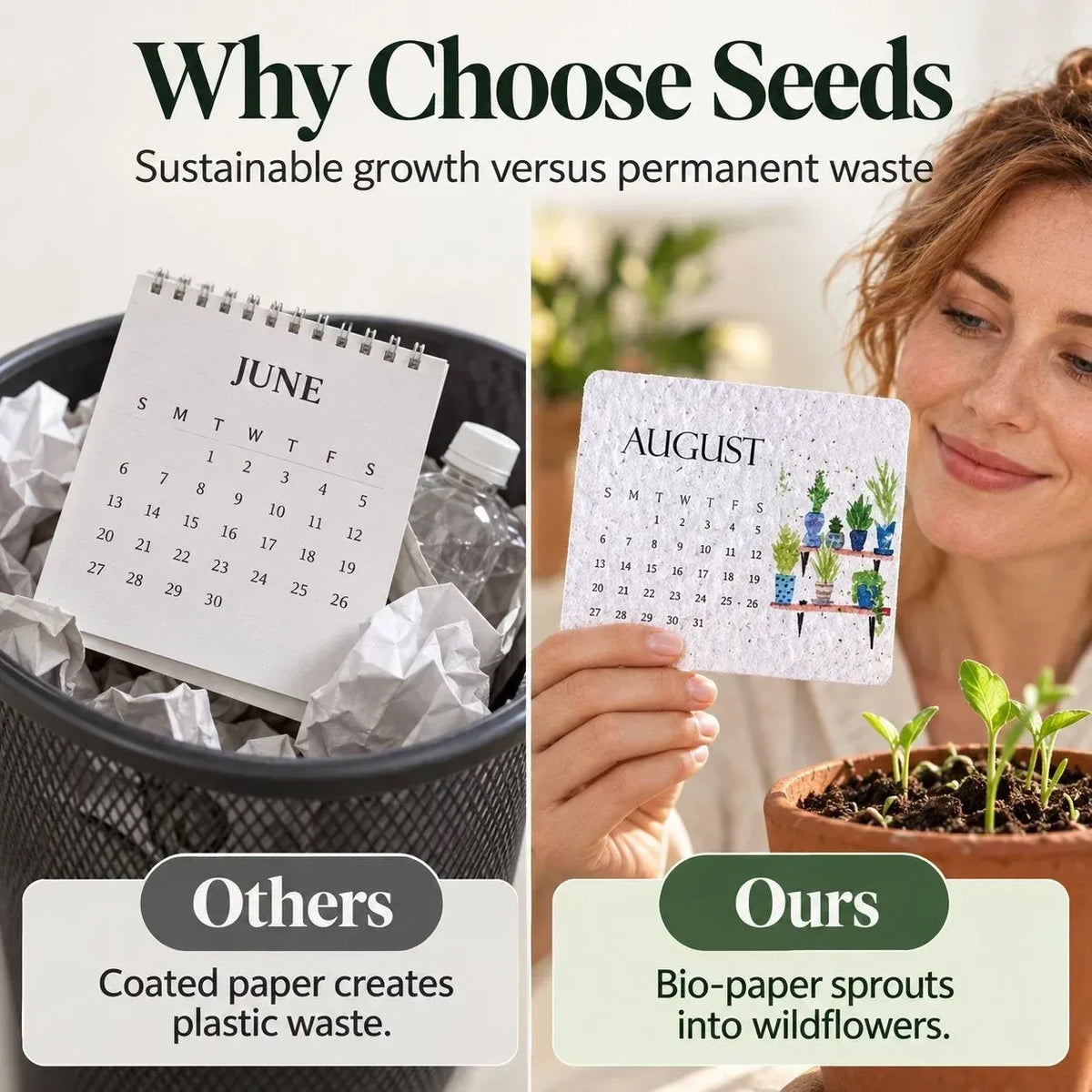 ✨⏳Only $12.99 Last Day Promotion🌱Eco-Friendly Plantable ''Timeless'' Seed Calendar 2027