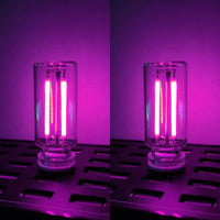 Purple+Purple