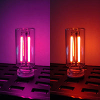 Pink+Red