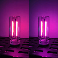 Pink+Purple