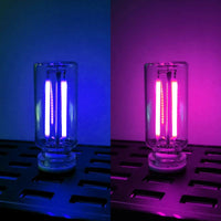 Blue+Purple