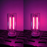 Pink+Pink