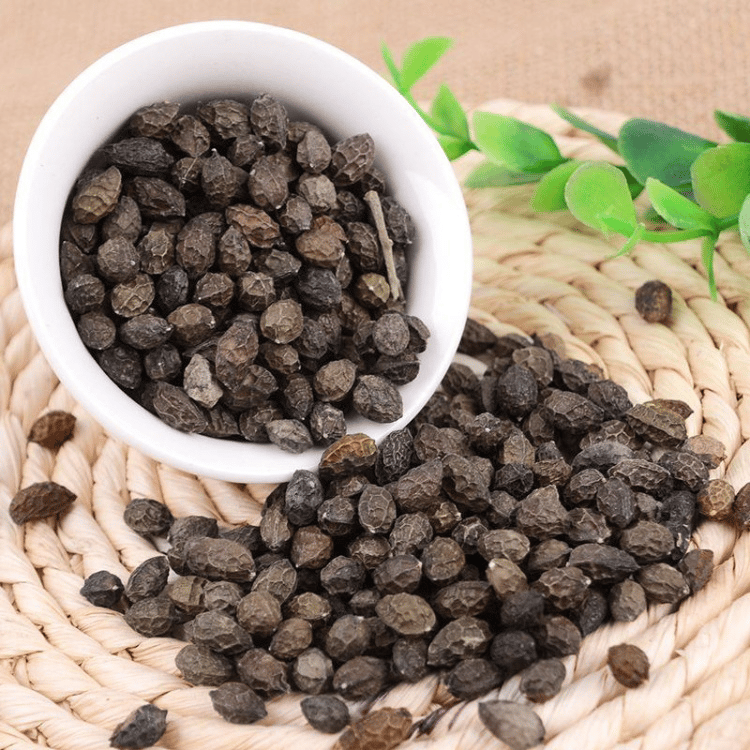 🏆 OVER 75,000 UNITS SOLD!🌸Climbing Jasmine Flower Seeds - Nighttime Perfumer