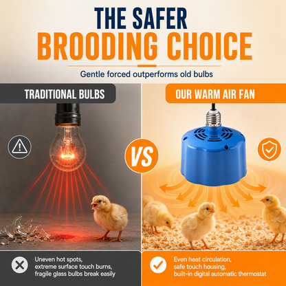 ⏳LIMITED-TIME 50% OFF! ⏰Intelligent Temperature Control Brooder Heater💡